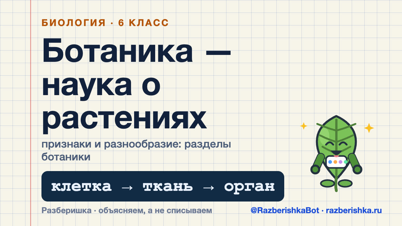 Превью видео: Ботаника — наука о растениях: признаки и разнообразие