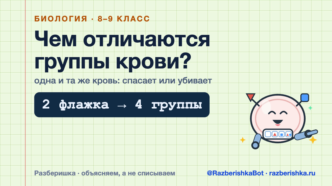 Чем отличаются группы крови?