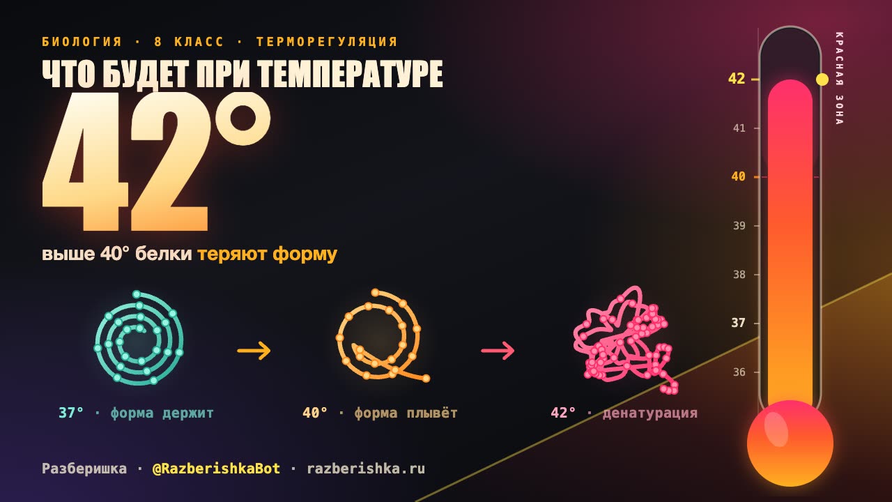 Что будет при температуре 42?